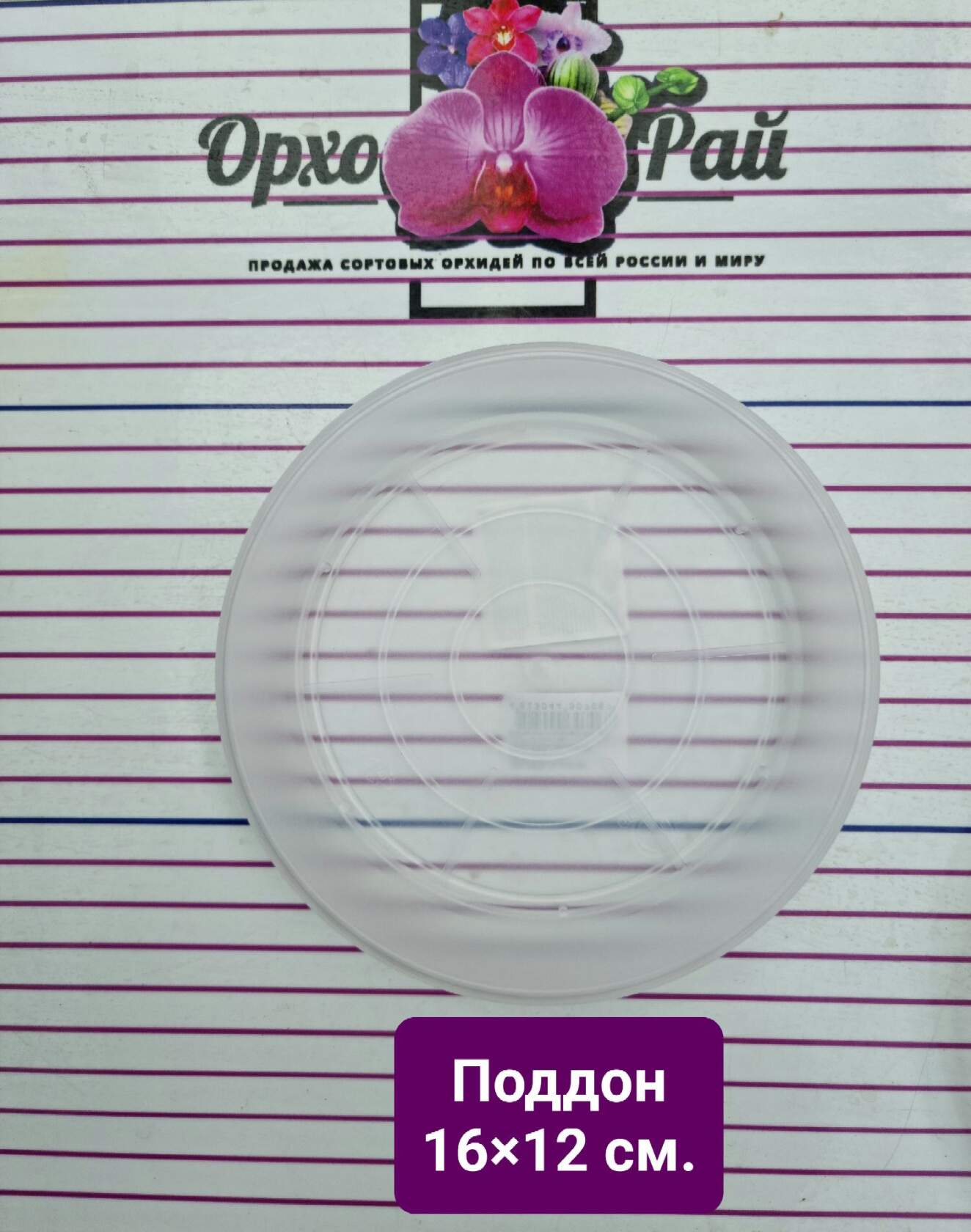 Поддон 16х12 см.