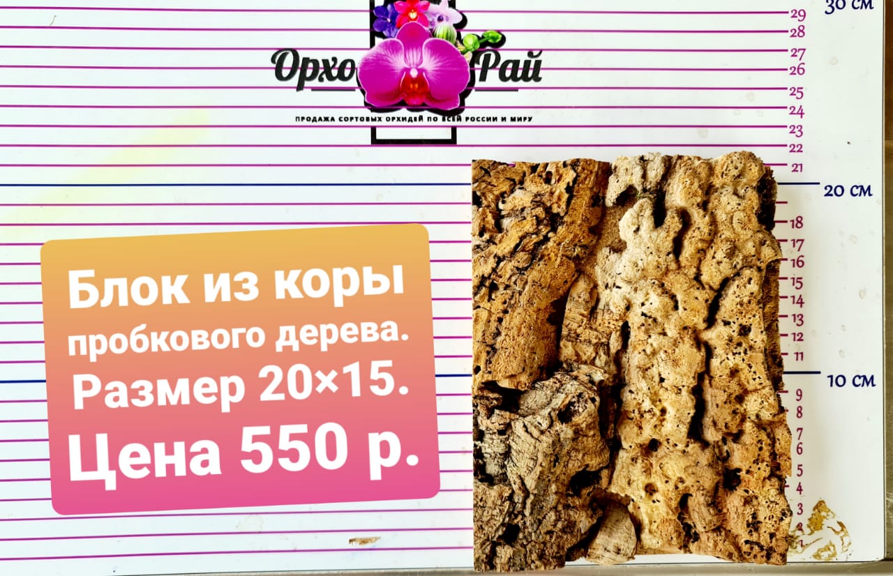 Блок из пробкового дерева. Размер 15*20 см