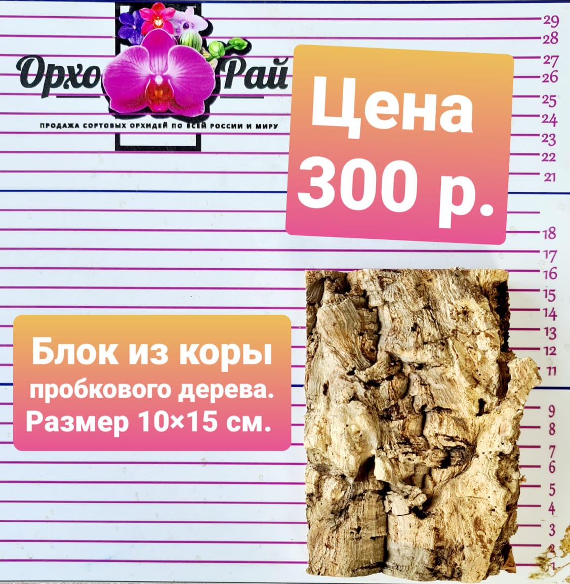 Блок из пробкового дерева. Размер 10*15 см 
